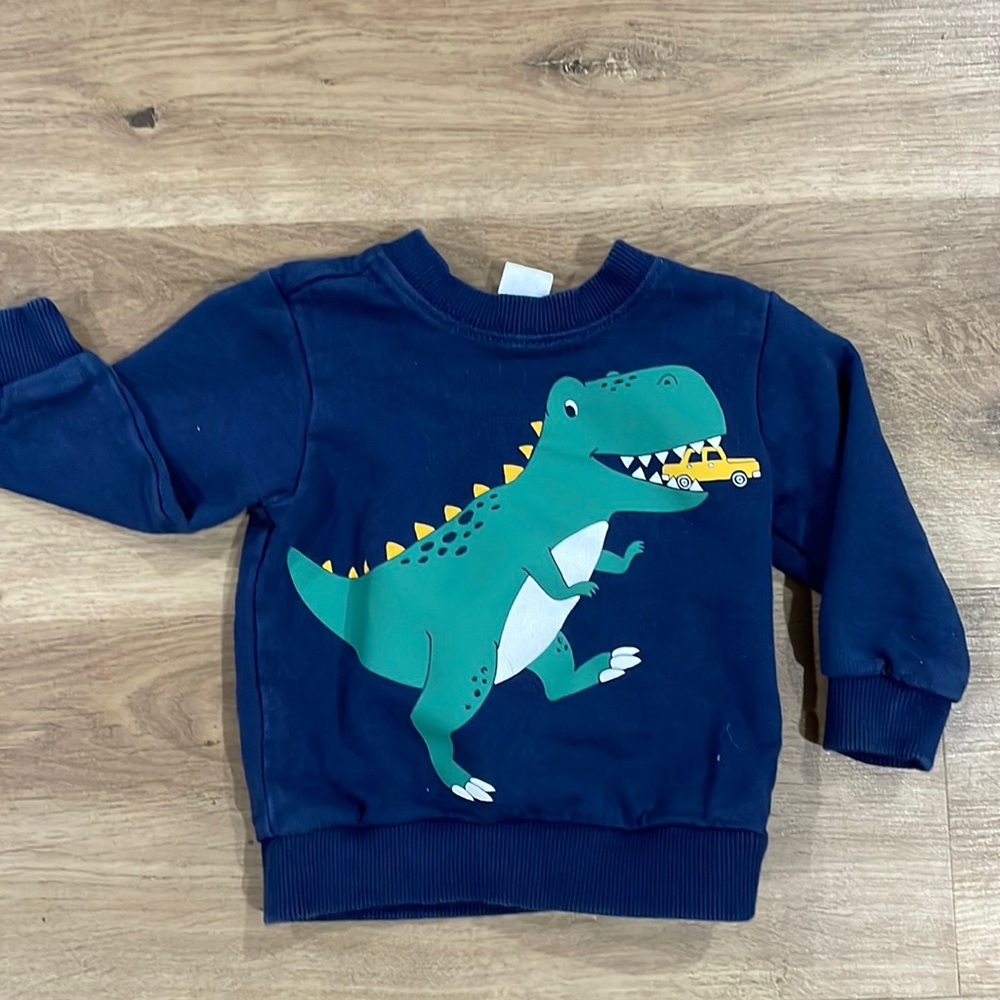 5 for $20 Dark blue dinosaur‎ sweatshirt (12 months)